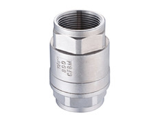 Клапан обратный резьбовой Dn 15 AISI 304